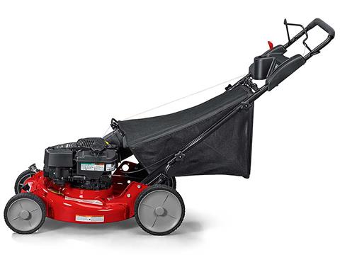 Ninja Snapper 21 New Snapper RP2185020 Ninja Series 21 Briggs