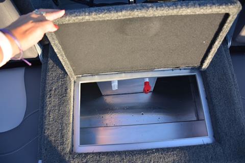 2024 Starcraft Delta 178 DC in Paducah, Kentucky - Photo 6