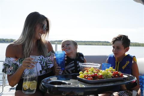 2024 Starcraft CX 23 Q in Paducah, Kentucky - Photo 15