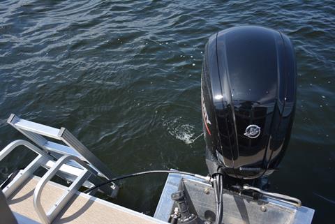 2024 Starcraft LX 20 R in Paducah, Kentucky - Photo 14