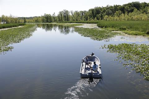 2025 Starcraft Freedom 180 TL in Paducah, Kentucky - Photo 7