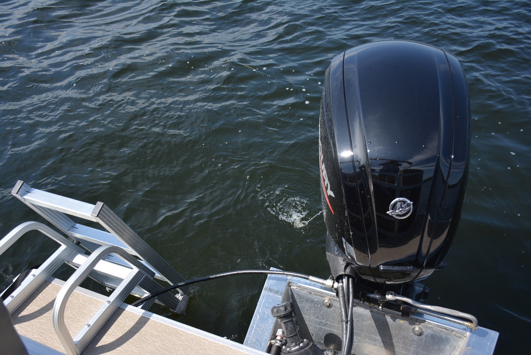 2025 Starcraft LX 20 R in Paducah, Kentucky - Photo 14