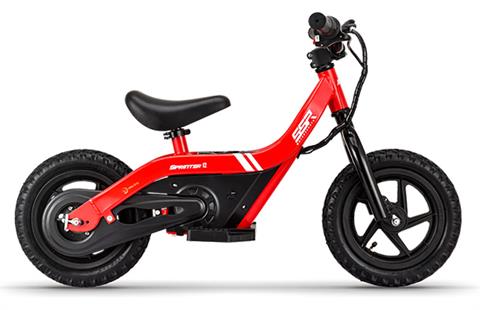 2024 SSR Motorsports Sprinter 12