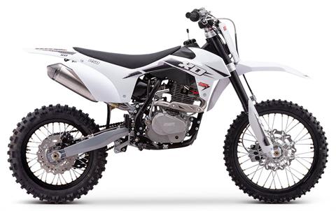 New 2025 SSR Motorsports XD250 White | Motorcycles in Sioux City IA |