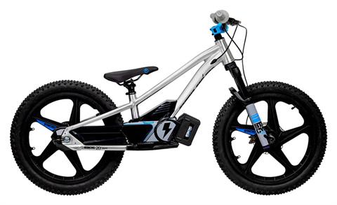2024 Stacyc 20eDRIVE TEAM Edition
