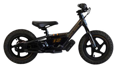 2024 Stacyc H-D 12eDRIVE