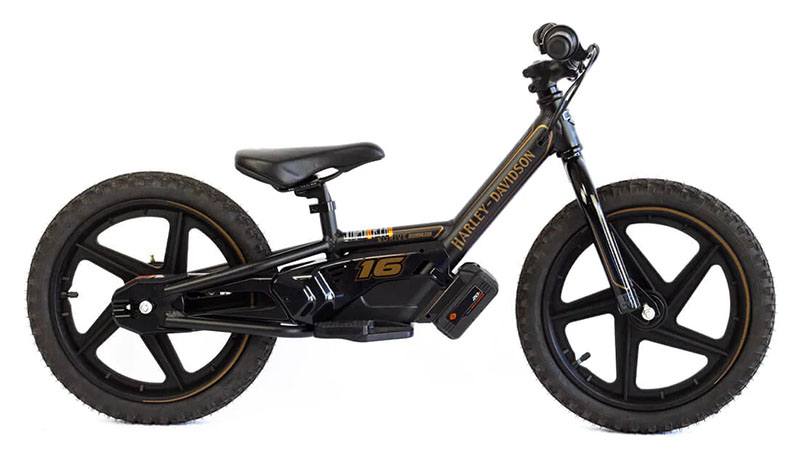 2024 Stacyc H-D 16eDRIVE Brushless in Topeka, Kansas - Photo 1