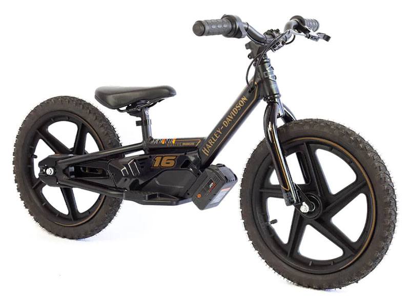 2024 Stacyc H-D 16eDRIVE Brushless in Topeka, Kansas - Photo 3