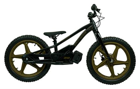2024 Stacyc H-D 20eDRIVE Rigid Fork