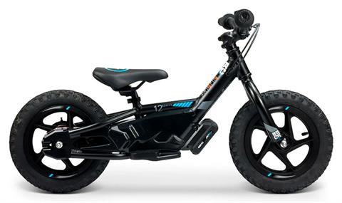 2025 Stacyc 12eDRIVE in Topeka, Kansas