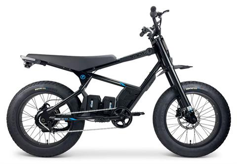 2025 Stacyc 20hDRIVE Class 2