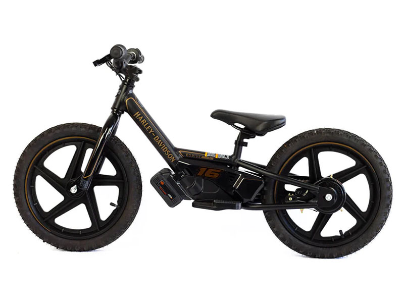 2025 Stacyc H-D 16eDRIVE Brushless in Lexington, Kentucky - Photo 2