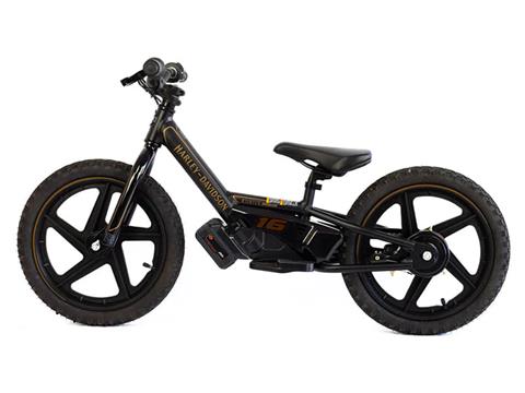 2025 Stacyc H-D 16eDRIVE Brushless in Lexington, Kentucky - Photo 2