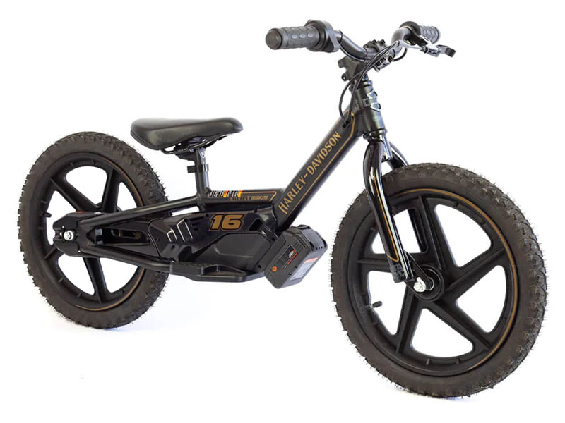 2025 Stacyc H-D 16eDRIVE Brushless in Lexington, Kentucky - Photo 3