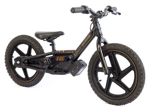2025 Stacyc H-D 16eDRIVE Brushless in Lexington, Kentucky - Photo 3