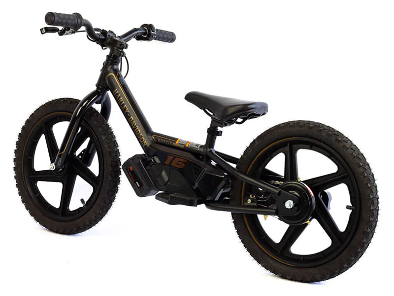 2025 Stacyc H-D 16eDRIVE Brushless in Lexington, Kentucky - Photo 6