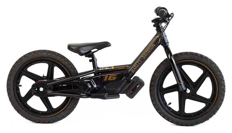 2025 Stacyc H-D 16eDRIVE Brushless in Lexington, Kentucky - Photo 1