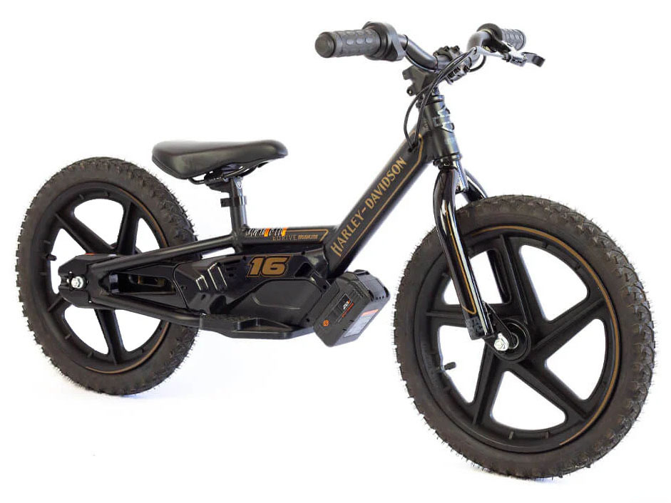 2025 Stacyc H-D 16eDRIVE Brushless in Topeka, Kansas - Photo 3