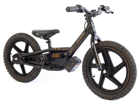 2025 Stacyc H-D 16eDRIVE Brushless in Topeka, Kansas - Photo 3