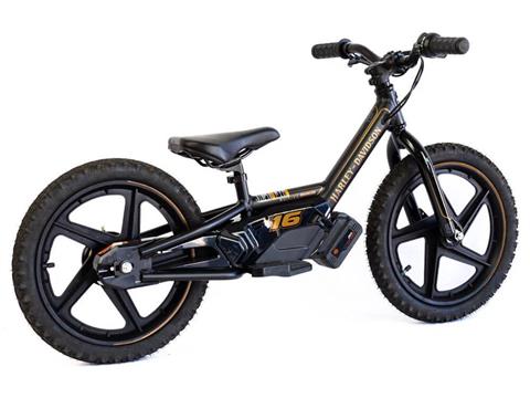 2025 Stacyc H-D 16eDRIVE Brushless in Topeka, Kansas - Photo 5