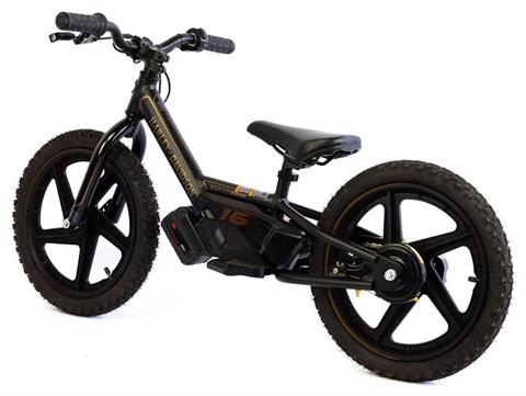 2025 Stacyc H-D 16eDRIVE Brushless in Topeka, Kansas - Photo 6