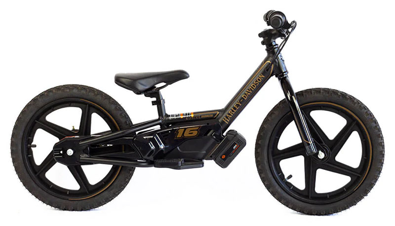 2025 Stacyc H-D 16eDRIVE Brushless in Topeka, Kansas - Photo 1