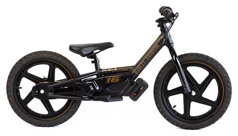 2025 Stacyc H-D 16eDRIVE Brushless