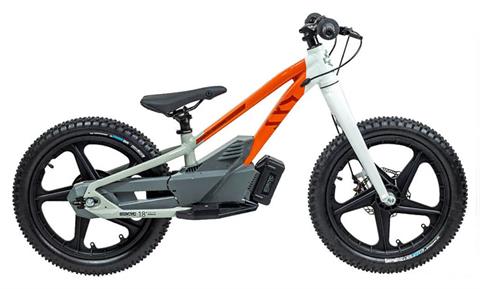 2025 Stacyc H-D 18eDRIVE Launch Edition in Topeka, Kansas