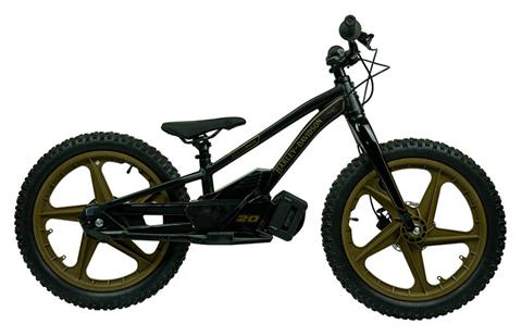 2025 Stacyc H-D 20eDRIVE Rigid Fork