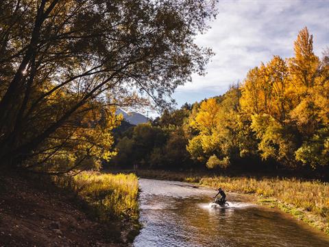2026 Stark VARG EX 60 hp in Mesa, Arizona - Photo 10