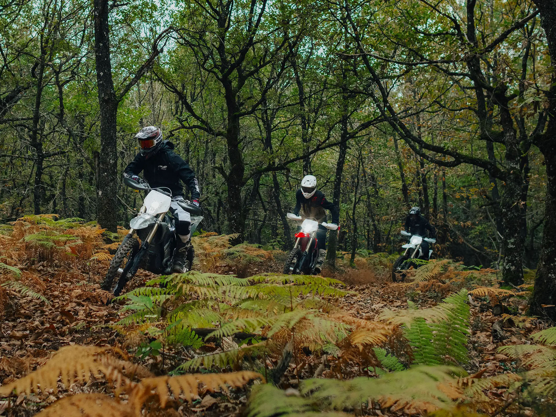 2026 Stark VARG EX 60 hp in Mesa, Arizona - Photo 11