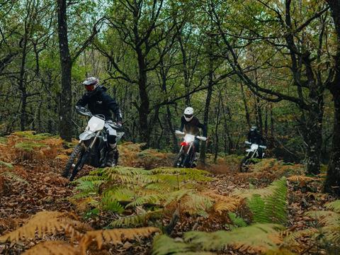 2026 Stark VARG EX 60 hp in Mesa, Arizona - Photo 11