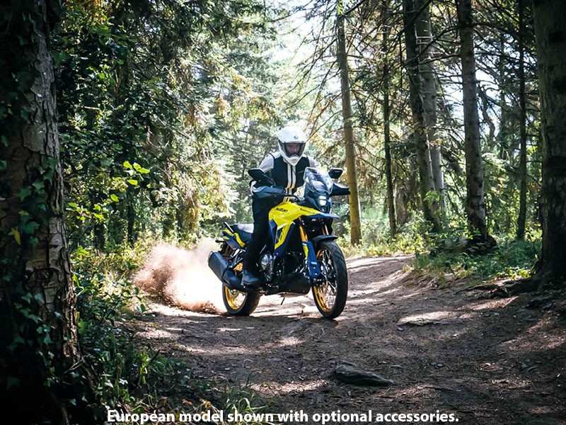 2023 Suzuki V-Strom 800DE in Huron, Ohio - Photo 5