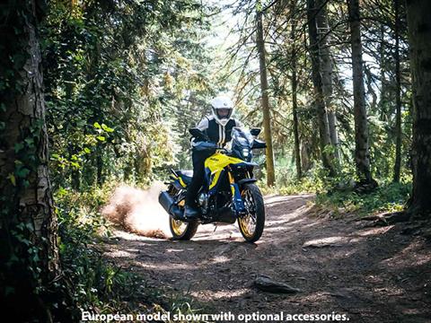 2023 Suzuki V-Strom 800DE in West Bridgewater, Massachusetts - Photo 5