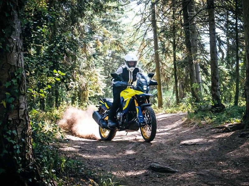 2024 Suzuki V-Strom 800DE Adventure in West Bridgewater, Massachusetts - Photo 5