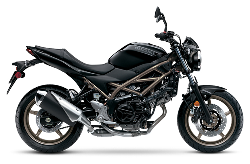 2024 Suzuki SV650 ABS in Huron, Ohio - Photo 1