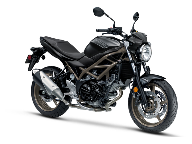 2024 Suzuki SV650 ABS in Huron, Ohio - Photo 2