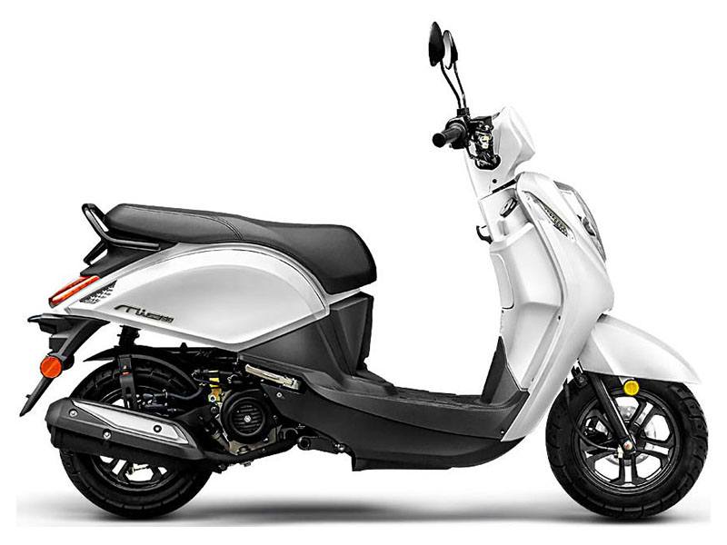 2022  Mio 50 for sale 469133