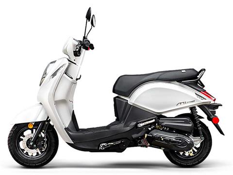 New 2025 SYM Mio 50 | Scooters in Pensacola FL | Arctic White