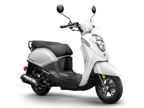 New 2025 SYM Mio 50 | Scooters in Pensacola FL | Arctic White