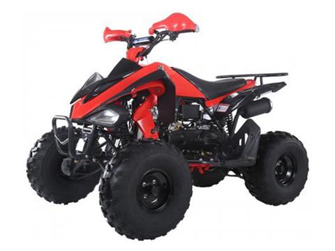 2022 Tao Motor ATA150G