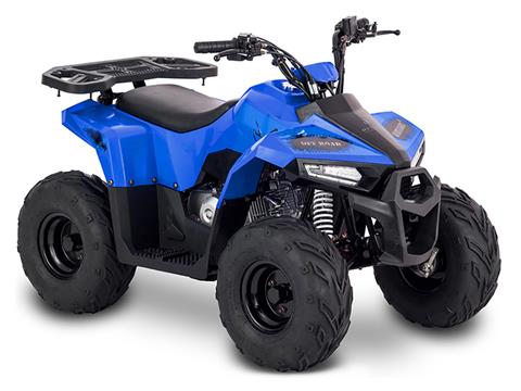 2022 Tao Motor MudHawk 6