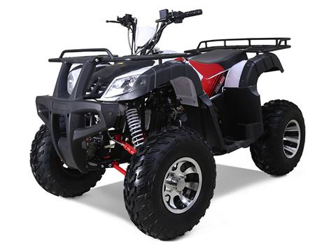 2022 Tao Motor Bull 200S