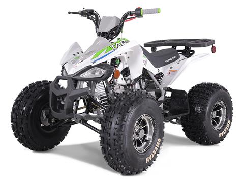 New 2023 Tao Motor Cheetah Platinum ATVs in Howell, MI