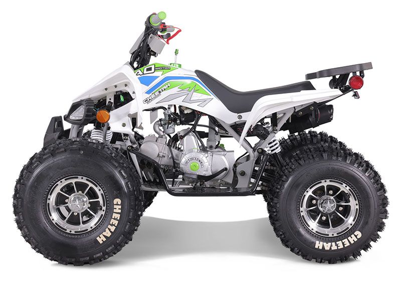 New 2023 Tao Motor Cheetah Platinum ATVs in Howell, MI