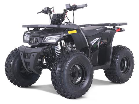 2023 Tao Motor MudHawk 10