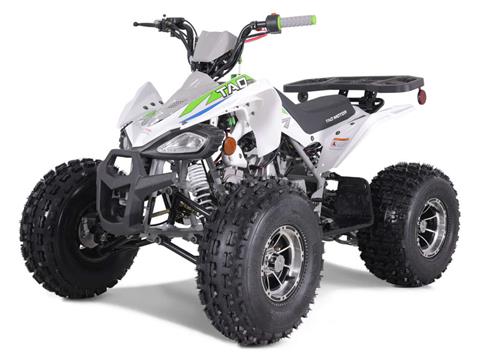 希少⭐️AMERI MEDI WHITE TWIN CHEETAH TANK TBParts - Gas Tank in White for Z50 79-87 - TBW0559 - Z50 79-87