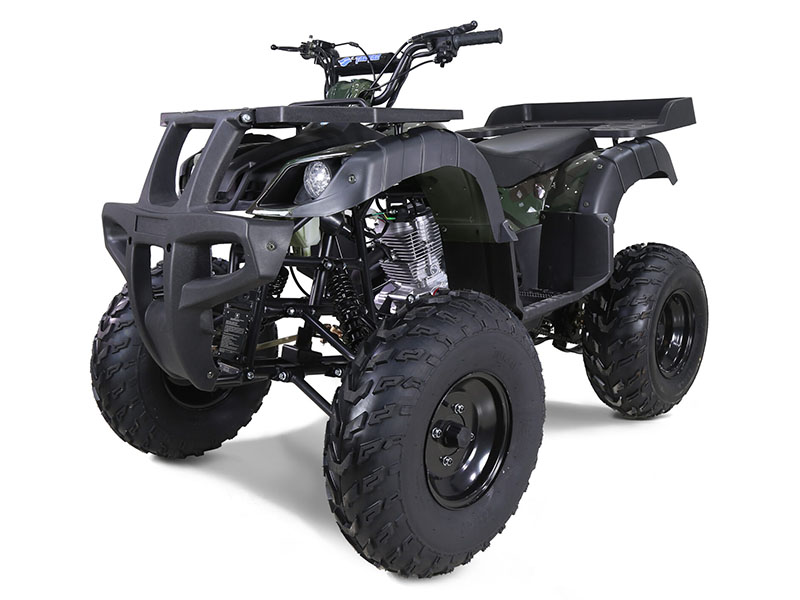 New 2025 Tao Motor Rhino 250 | ATVs in Virginia Beach VA | Green