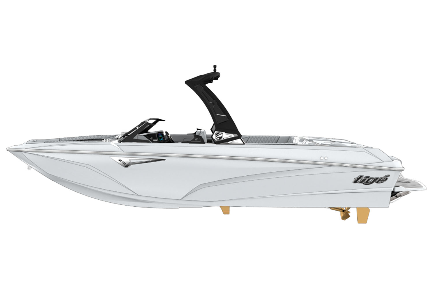 2025 TIGE Z5 in Paducah, Kentucky - Photo 1