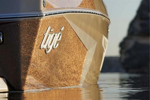 2026 TIGE 22RZX in Paducah, Kentucky - Photo 14